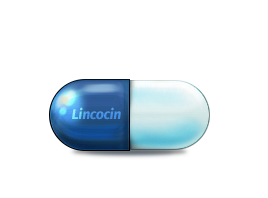 Lincocin